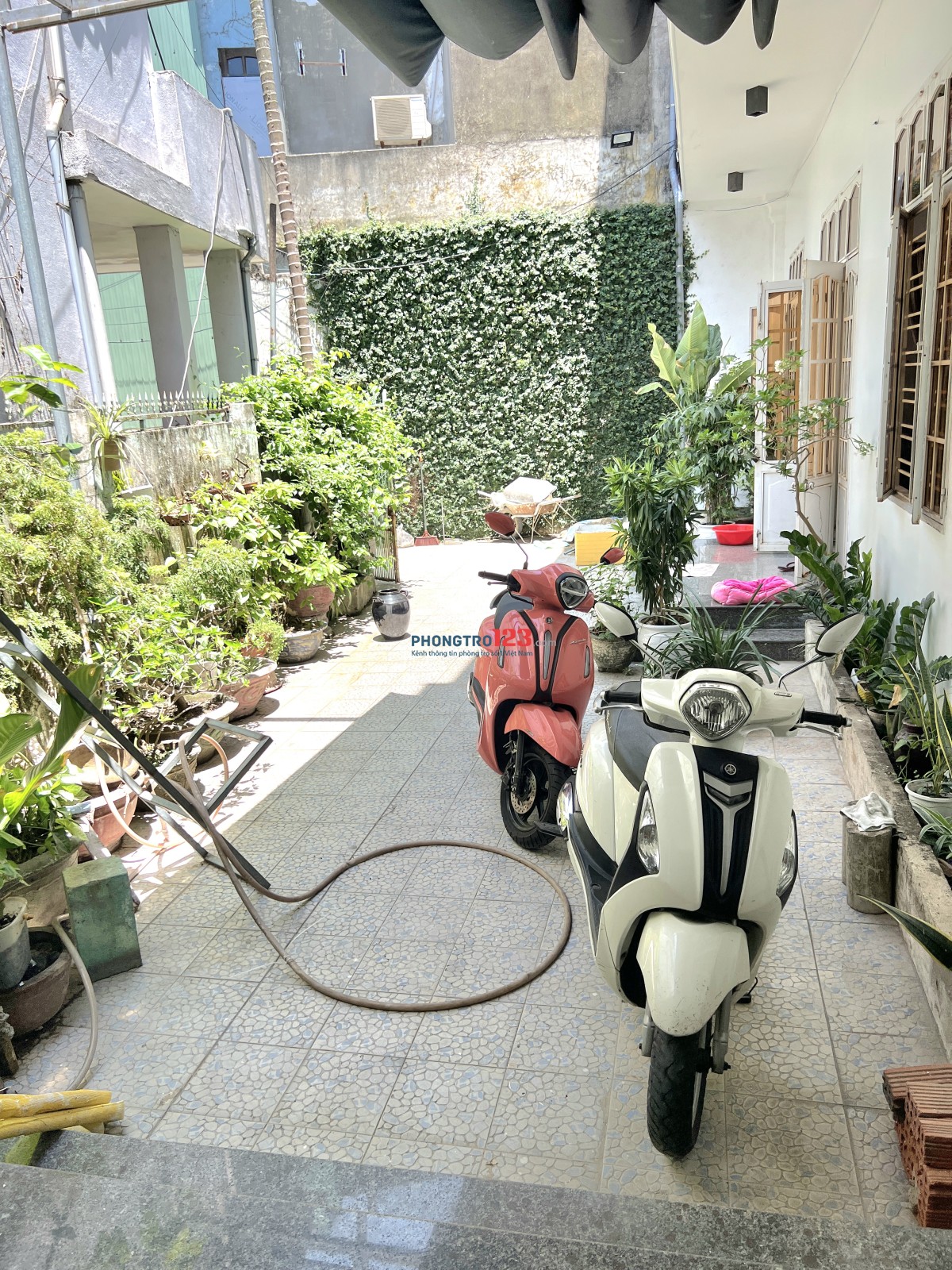 CHO THUÊ PHÒNG TRỌ - GẦN BỆNH VIỆN TÂM TRÍ - GIÁ HỢP LÝ