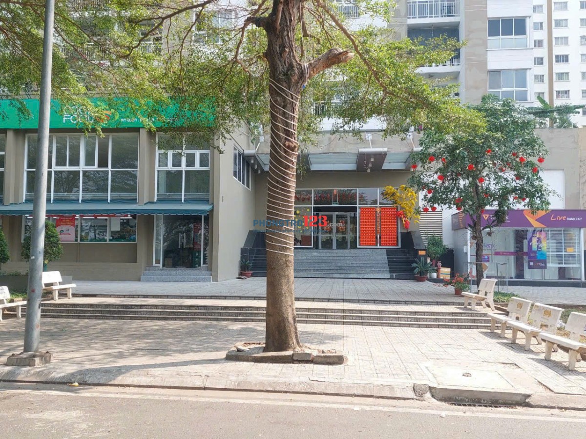 Chính chủ cần cho thuê căn hộ giá rẻ 67m2 2 phòng ngủ