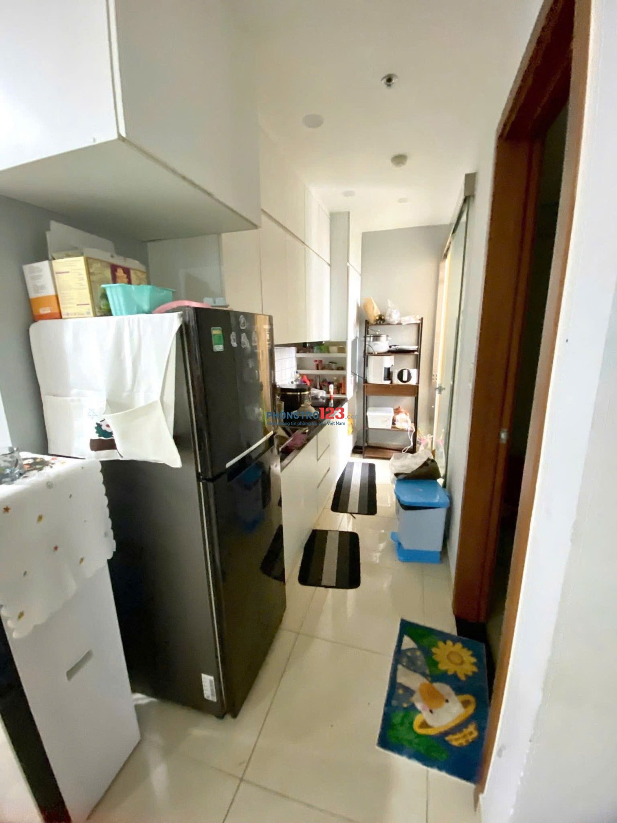 Carillon 5, Hòa Thạnh, Tân Phú - 80m2, 2p ngủ, NT, giá 11tr/th