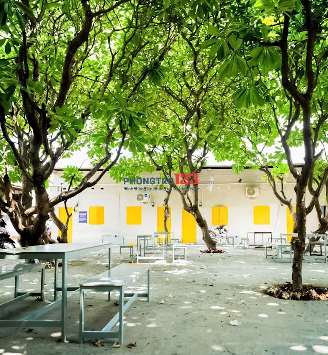Cho thuê phòng trọ giá rẻ 36 QL1A, Linh Xuân an ninh, sạch sẽ
