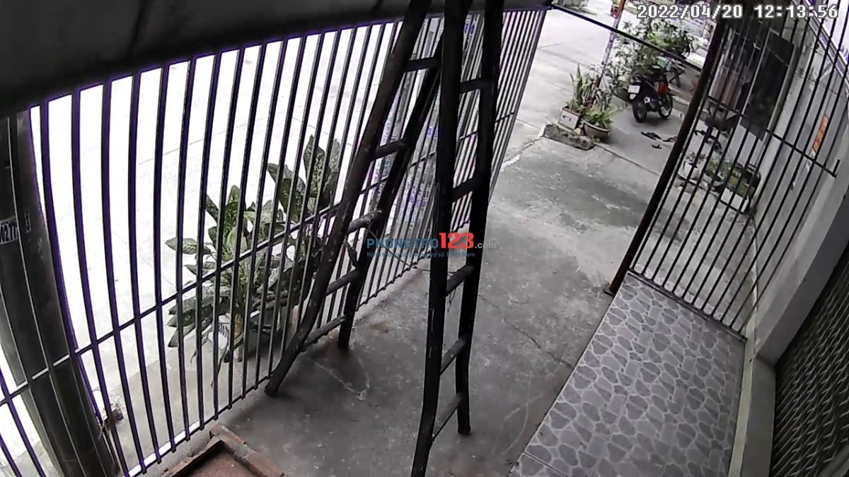 Cho thuê nhà mặt tiền hẻm, Lê Đức Thọ, P15, Gò Vấp