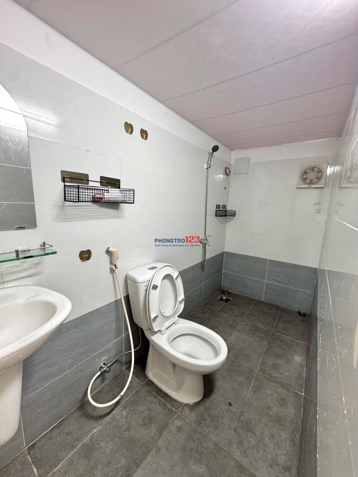 Cho thuê căn hộ Studio Cửa sổ Q8 gần cầu chữ Y, cầu Nguyễn Văn Cừ, chợ Rạch Ông, Parc Mall