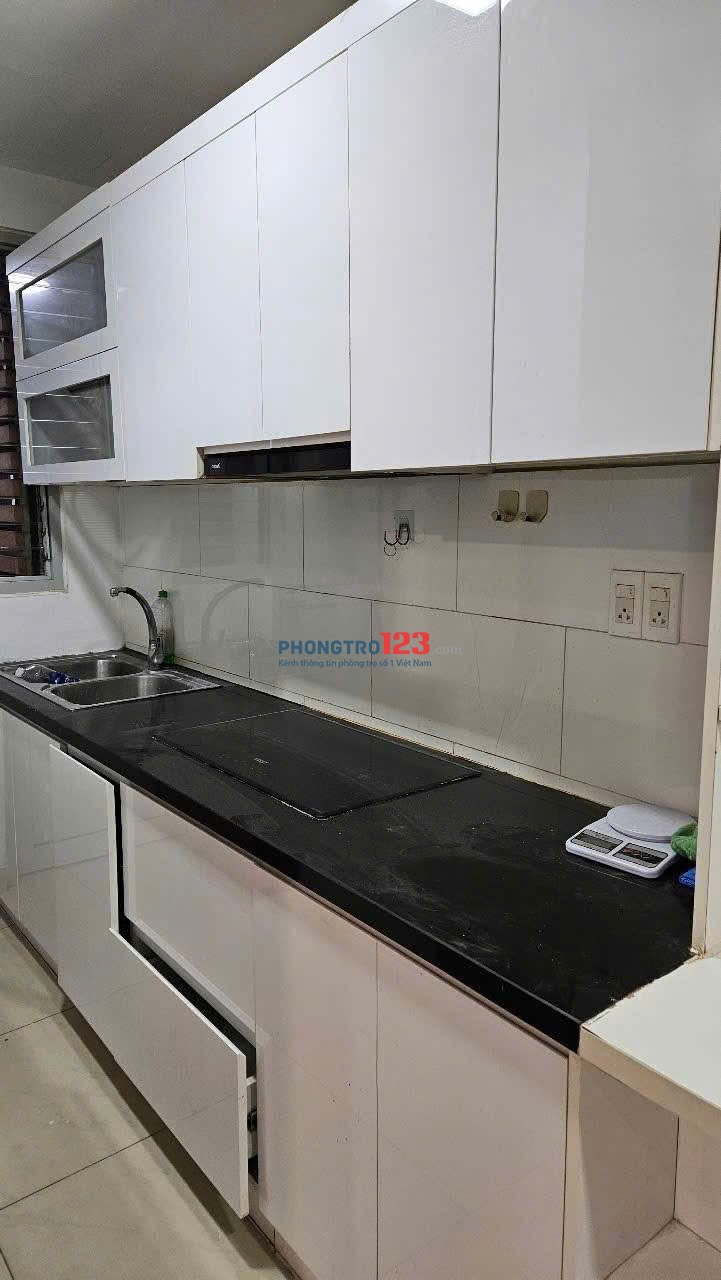 Chung cư Ruby Garden, Nguyễn Sỹ Sách, P15, TB, 83m2, 2PN, 10tr5/tháng