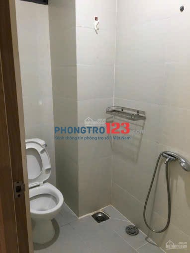 Cần Pass lại phòng trọ hẻm 451 Tô Hiến Thành