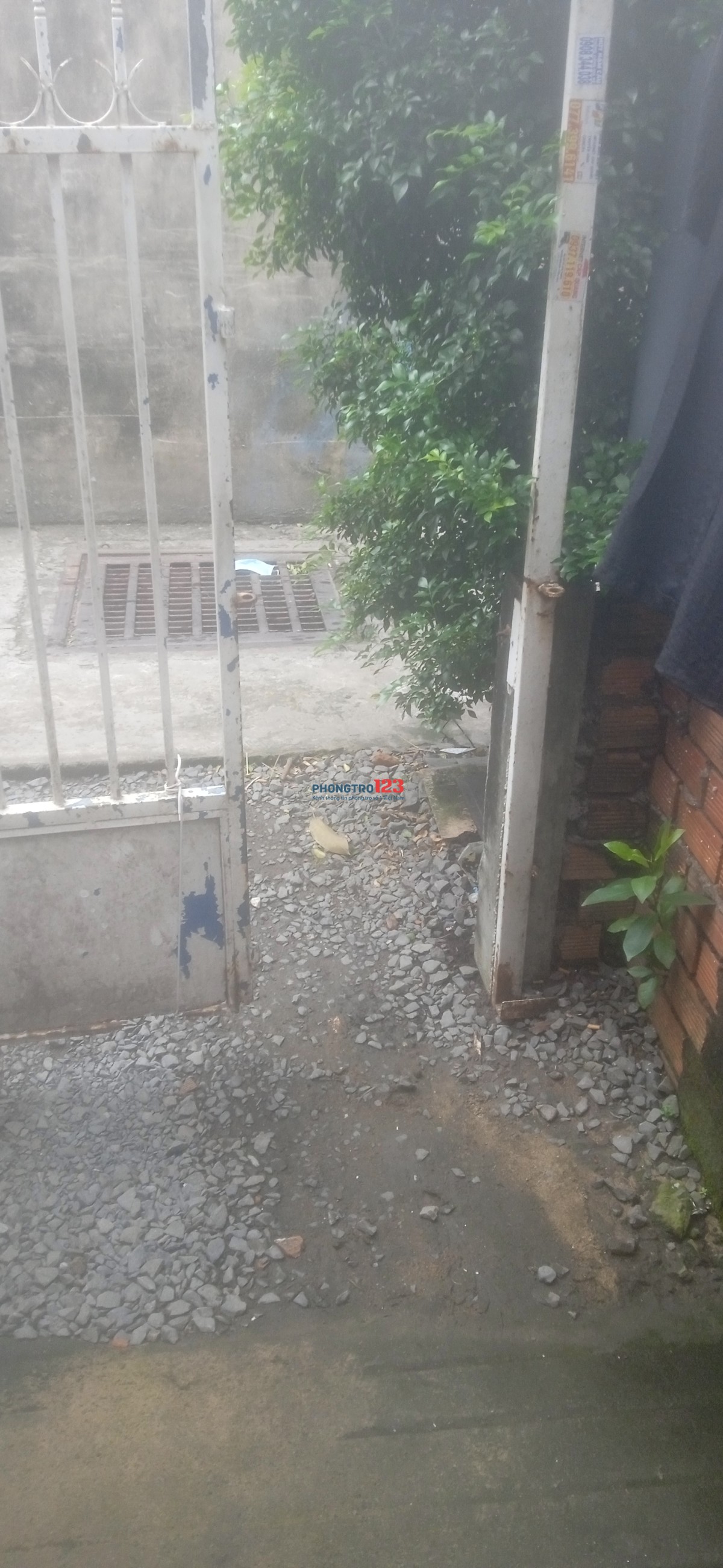 Phòng trọ cho thuê một cặp vợ chồng. Chủ nhà dễ tính