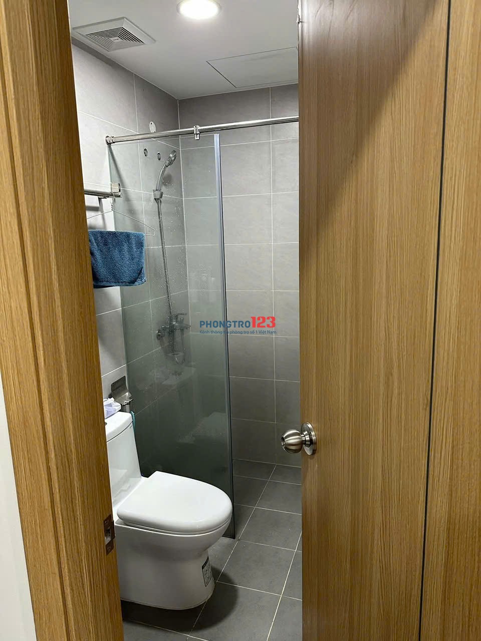 Chung cư Lotus, Trịnh Đình Thảo, TP: 60m2, 2p ngủ, nội thất, 7tr5