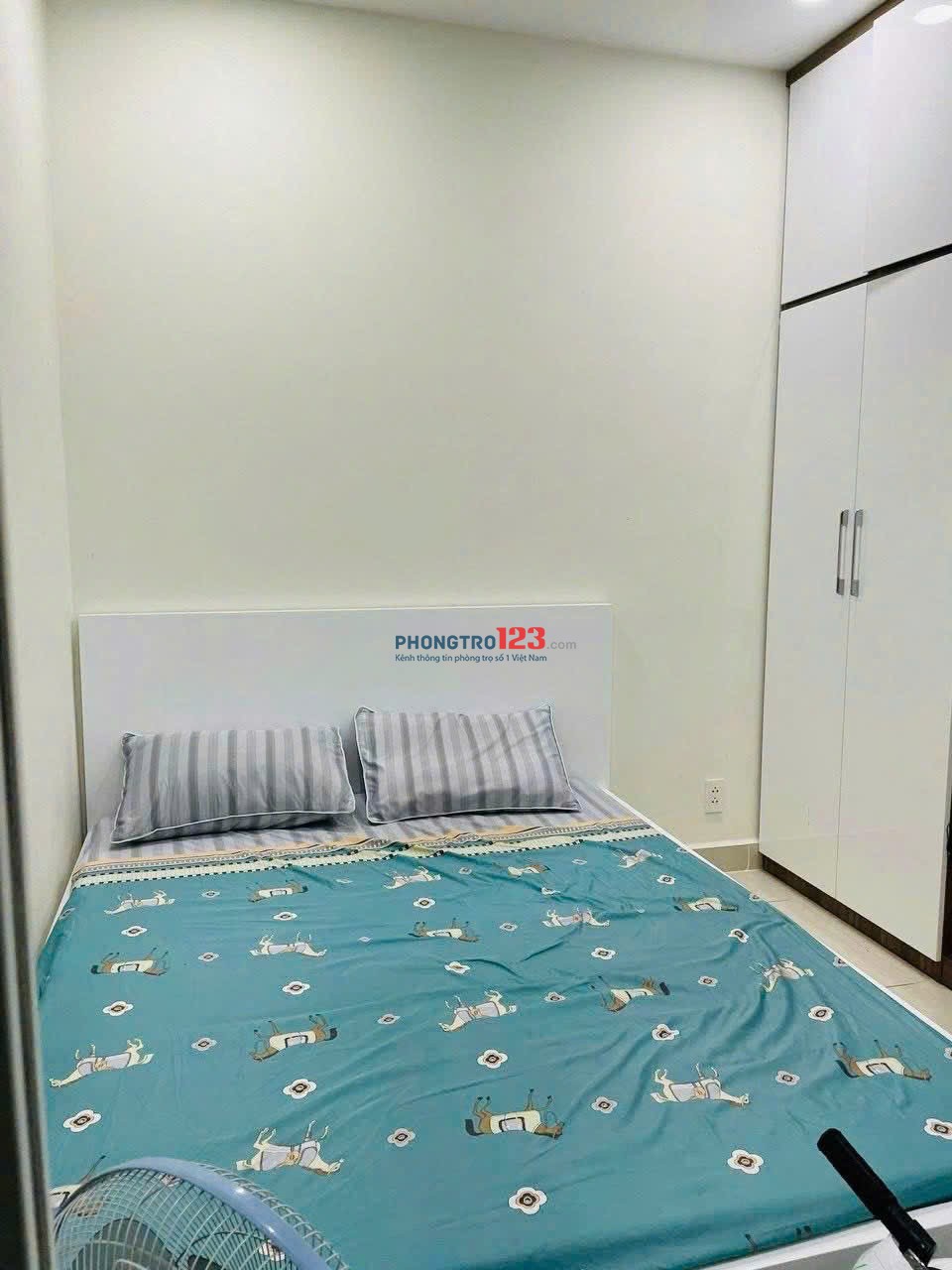 Topaz Garden, Trịnh Đình Thảo, Tân phú: căn 2p ngủ, Tolet, 8tr/tháng.