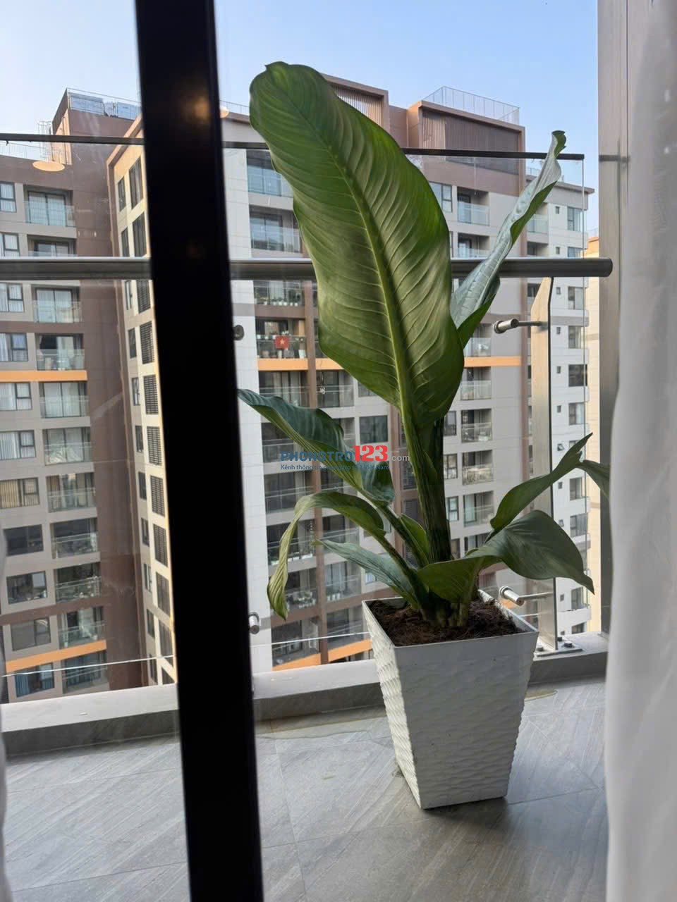 Chung cư Orchard Parkview P9, Phú Nhuận: NTCC, 2p ngủ, 75m2, 17tr/th