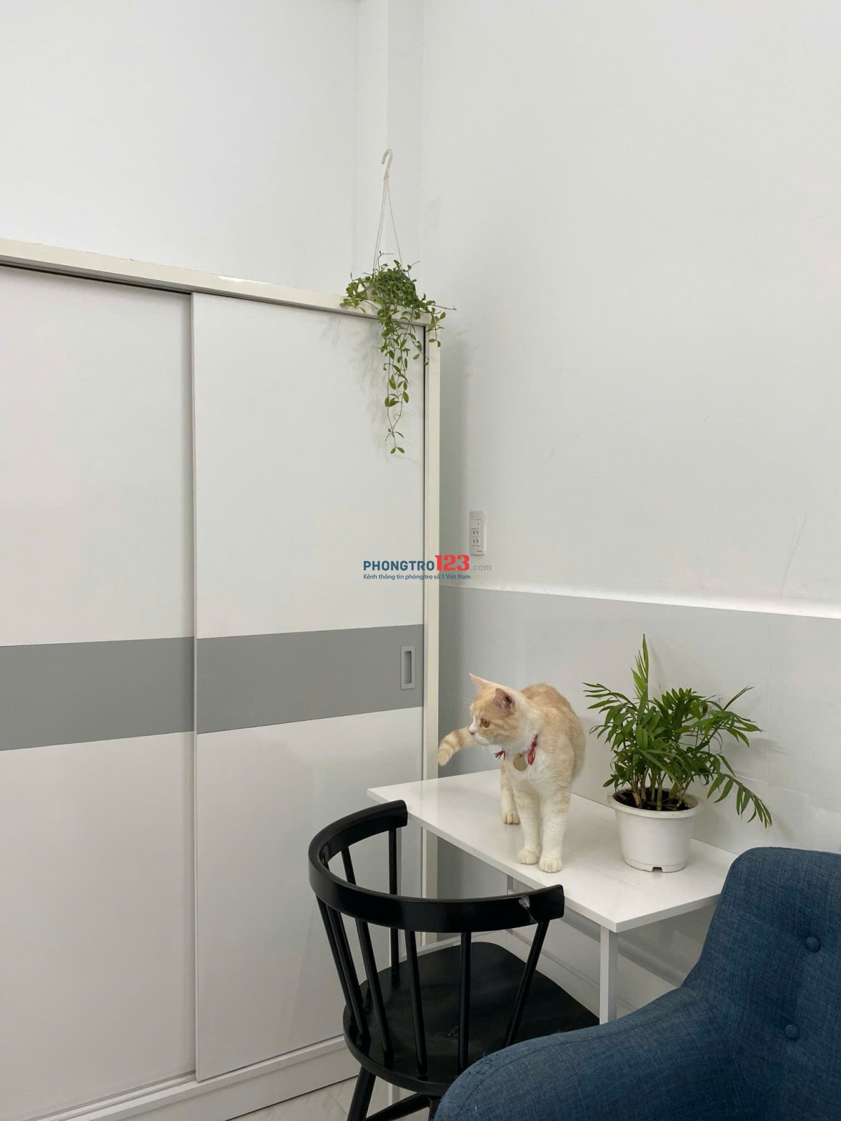 CHO THUÊ PHÒNG TRỌ FULL NỘI THẤT CỬA SỔ LỚN ỞBÌNH THẠNH GẦN ĐẠI HỌC VĂN LANG
