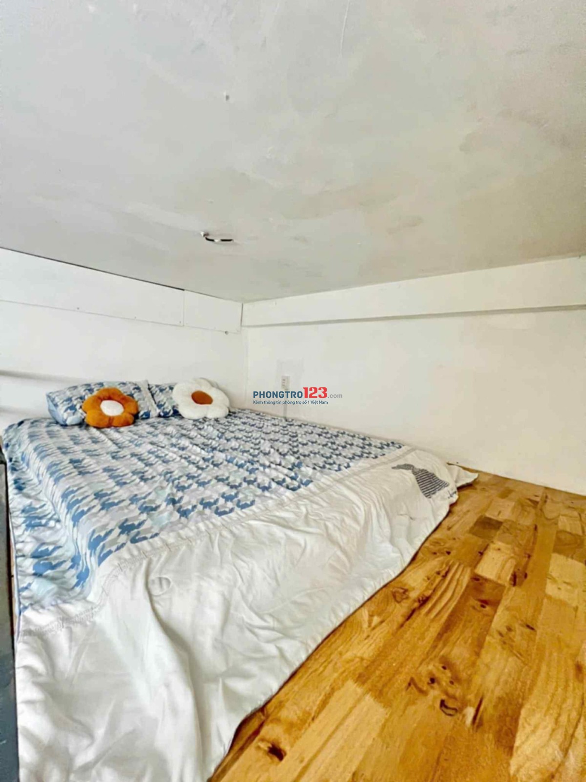 Tìm GẤP Nam ở ghép vào tháng 08