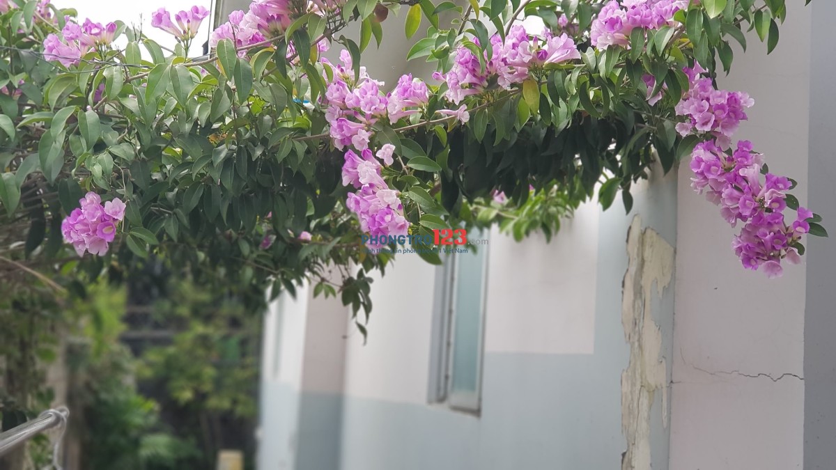 Cho thuê phòng trung tâm SG, khu an ninh, có sân vườn thoáng mát, giá chỉ 2.5tr/tháng