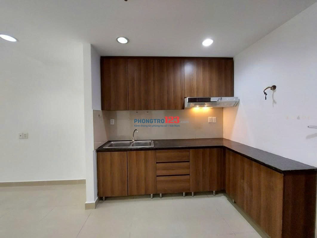 Căn hộ 80m2, 2p ngủ không NT c/c Babylon, Tân Thành, Tân Phú giá 11tr