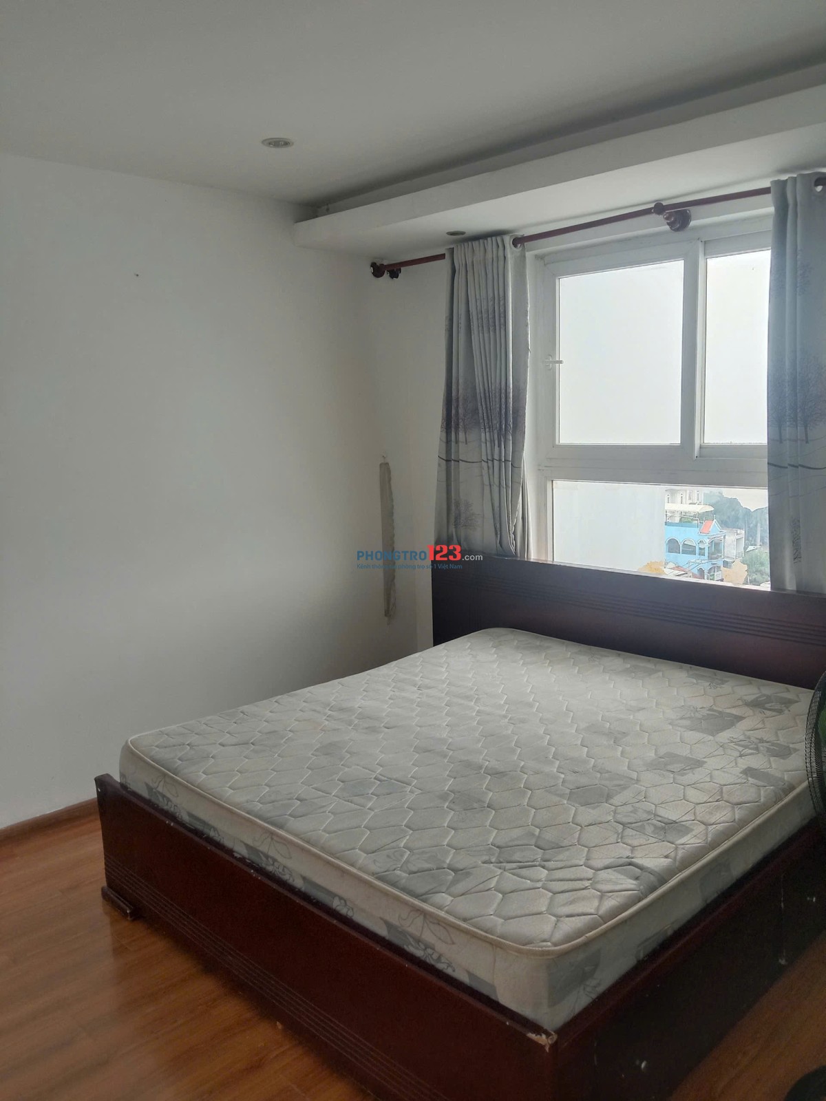 Ruby Garden, Nguyễn Sỹ Sách, P15, TB, 80m2, 2PN, 2WC, 9tr5/th