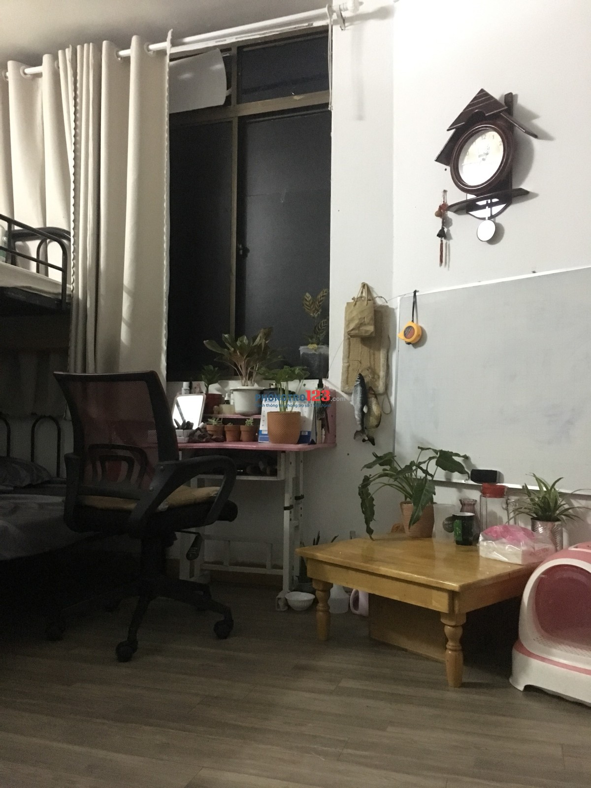 Cho thuê phòng 238/23 Bạch Đằng, P24, Quận Bình Thạnh
