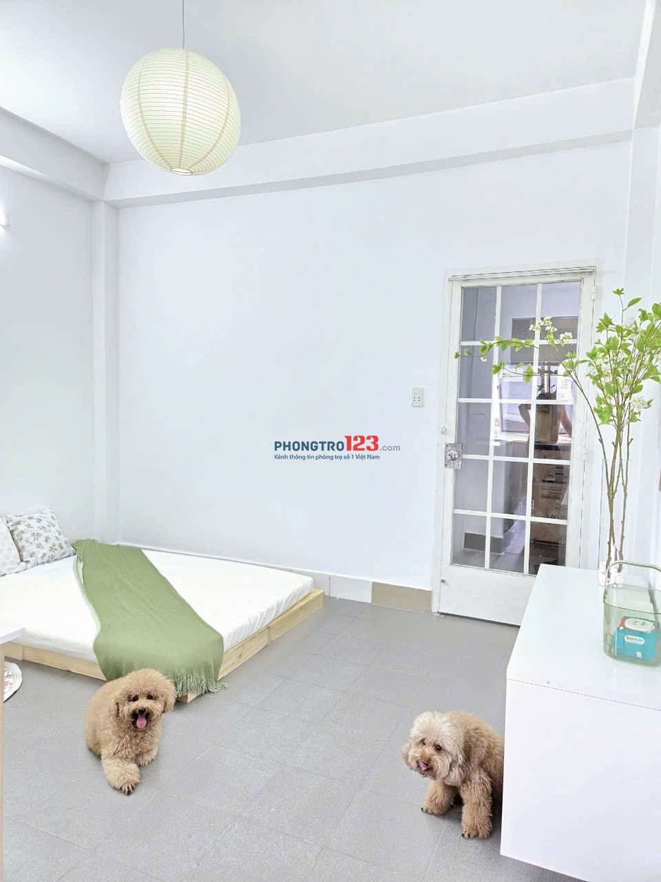 Cho thuê phòng FULL NT cơ bản có cửa sổ 30m2 1PN tách bếp Nơ Trang Long, gần ĐH Văn Lang cơ sở 2-3