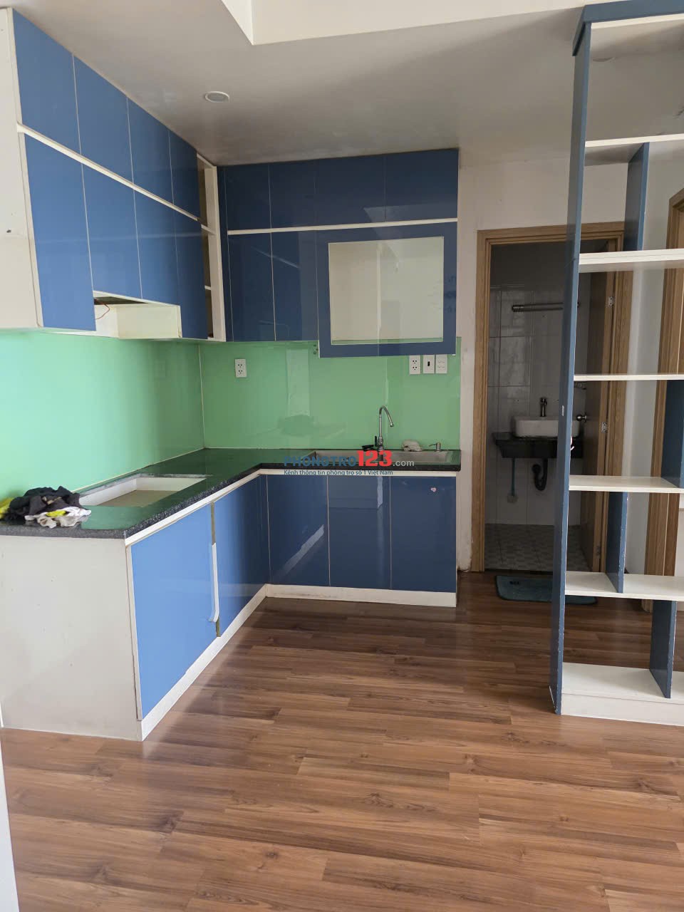 Cho thuê căn 1pn, 1wc, tại Chung cư jamona city P Phú Thuận Quận 7