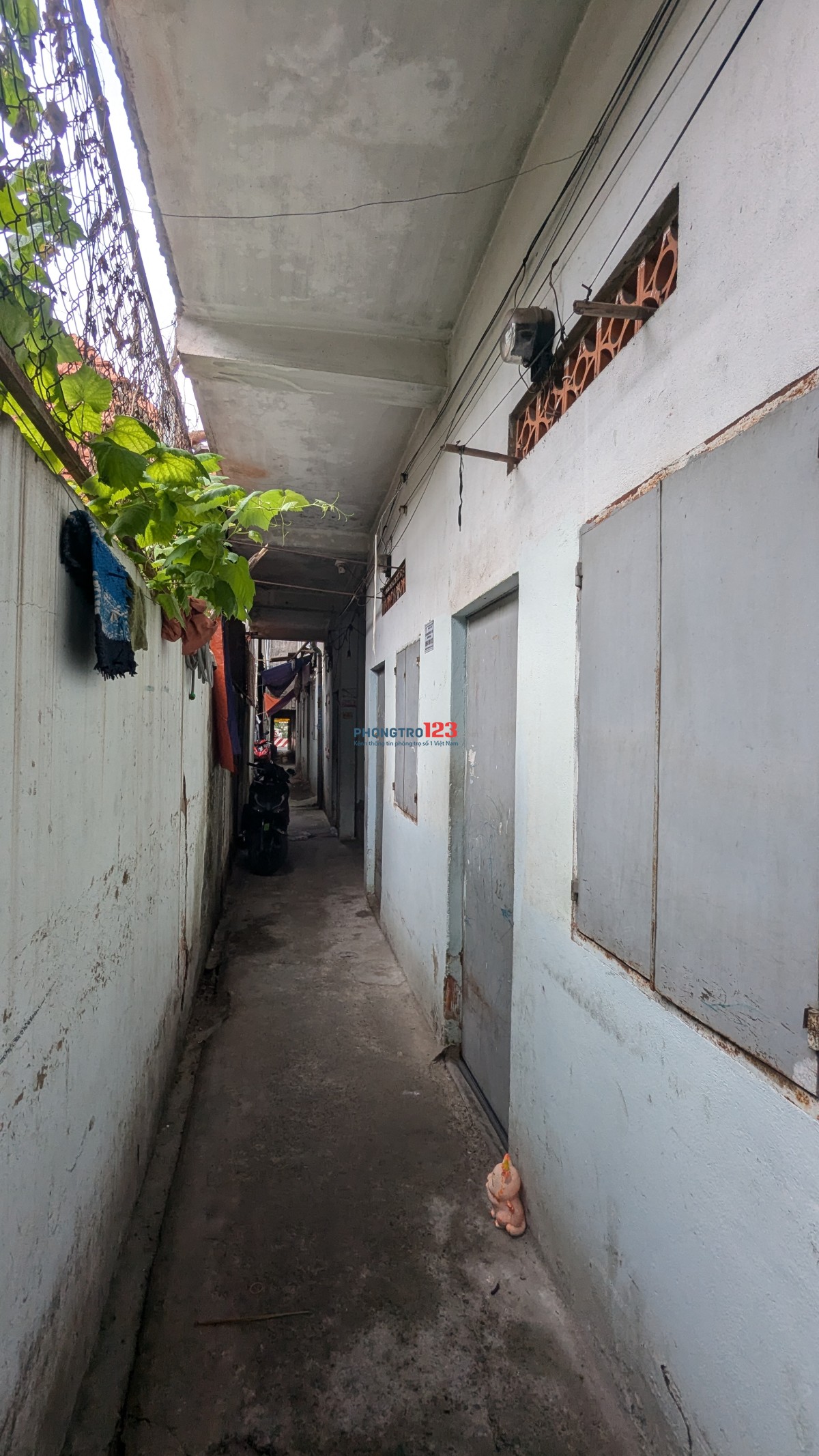 Cho thuê nguyên dãy 20 phòng trọ, mặt tiền DT743, Dĩ An – Giá 20 triệu/tháng
