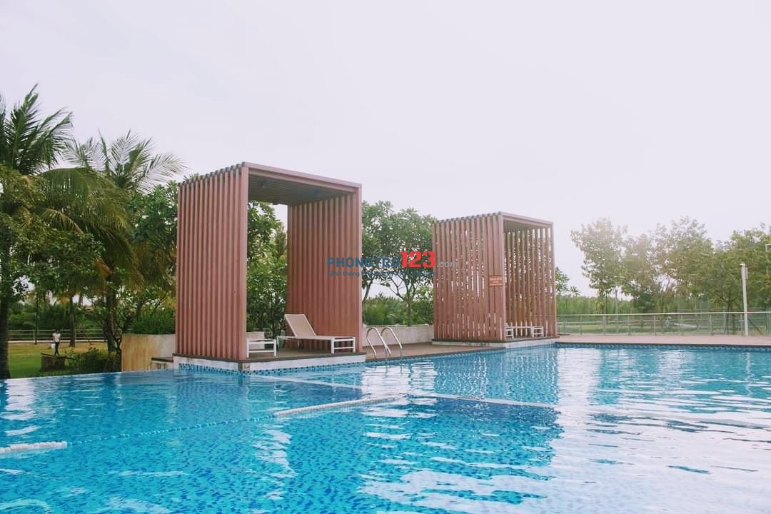 Phòng Ở Ghép Khu Dân Cư Cao Cấp Gần Khu Công Nghệ Cao TP.Thủ Đức.