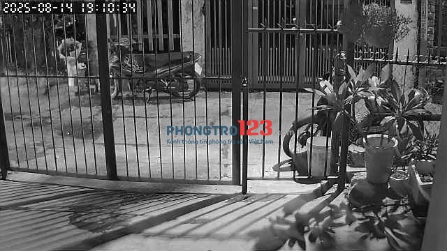 Tìm người ở ghép nhà nguyên căn
