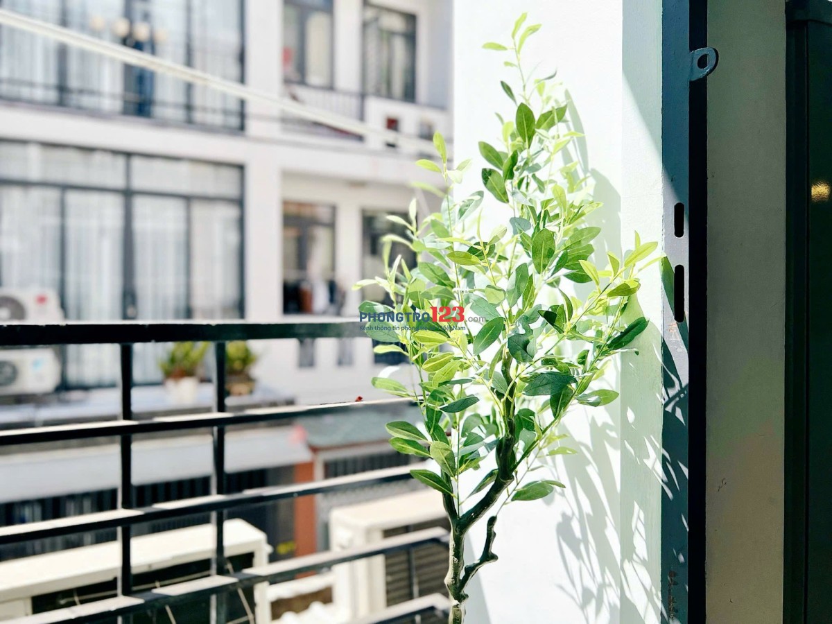 Cho Thuê Phòng Duplex Có Gác – Gần Ngã Tư Bảy Hiền, Tân Bình