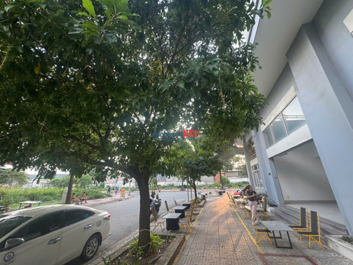 Cho thuê căn hộ Thanh Bình Residence 60m² ngay VSIP 1 – KDC Việt Sing, full nội thất, chỉ xách vali