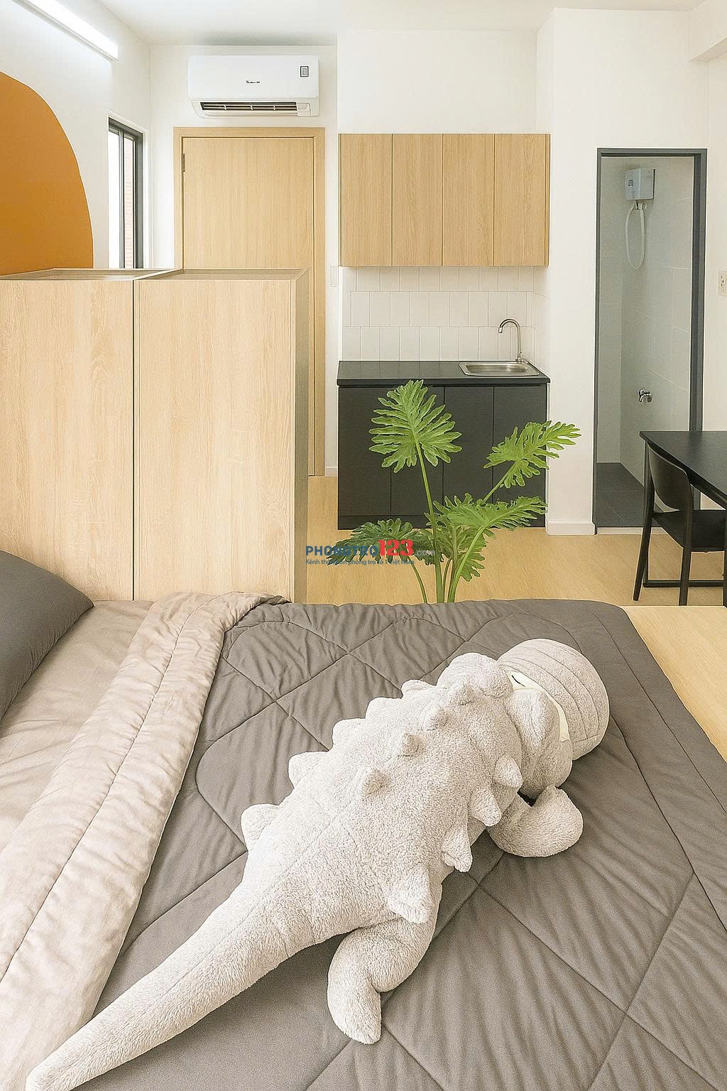 CC cho thuê CHDV tại Huỳnh Văn Nghệ, 6 triệu, 25m2, 1PN, 1WC, full nội thất