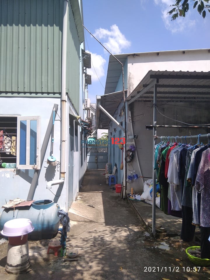 cho thuê phòng hẻm 126/15/8/1 Nguyễn Văn Tạo, Ấp 15 , xã Hiệp Phước