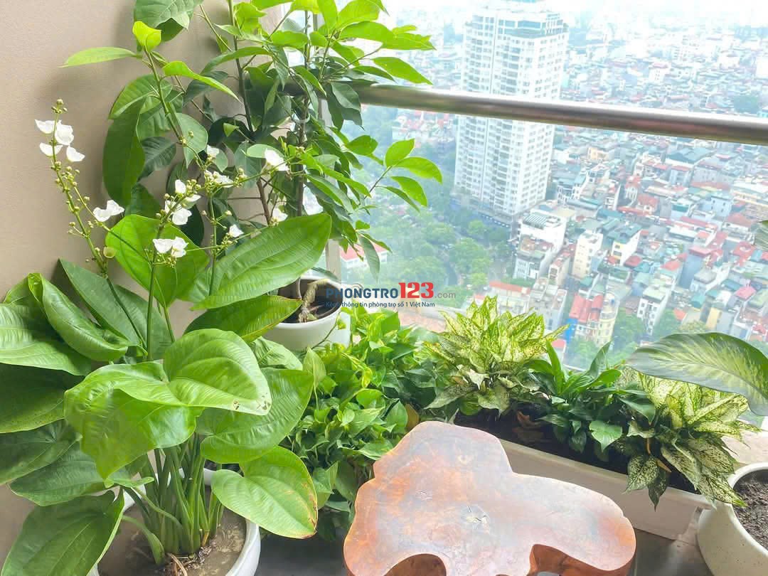 Ớ Ghép Giá siêu rẻ - Chung cư cao câp an ninh tuyệt đối. Môi trường sạch văn minh