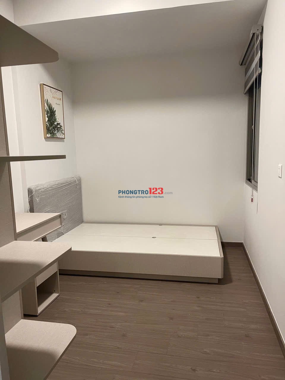 CC Carillon 5, TP, đường Luỹ Bán Bích có 2pn 2wc, ban công, nt mới, 12tr