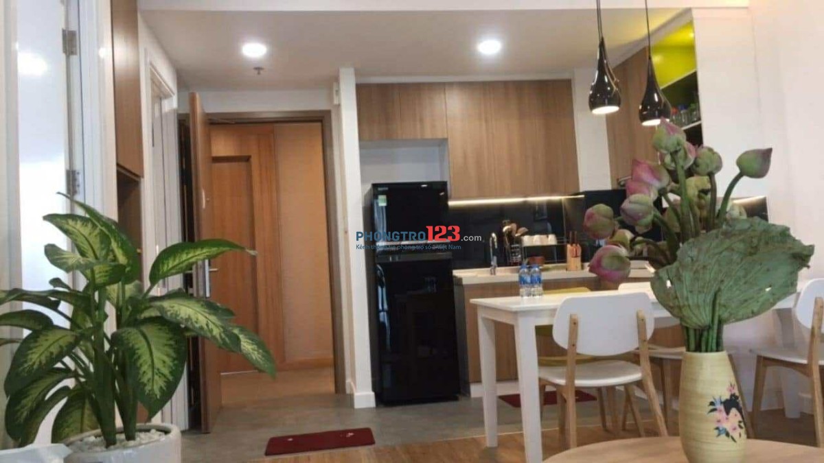  Cho Thuê Căn Hộ Cộng Hòa Plaza – Không Gian Sống Lý Tưởng 