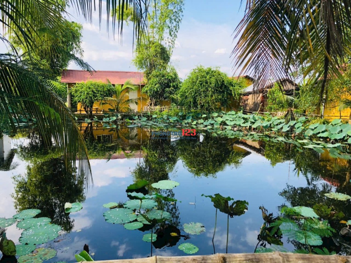 Nhà trọ homestay view ao sen cực chill, có nội thất gần bxe bus Hưng Long