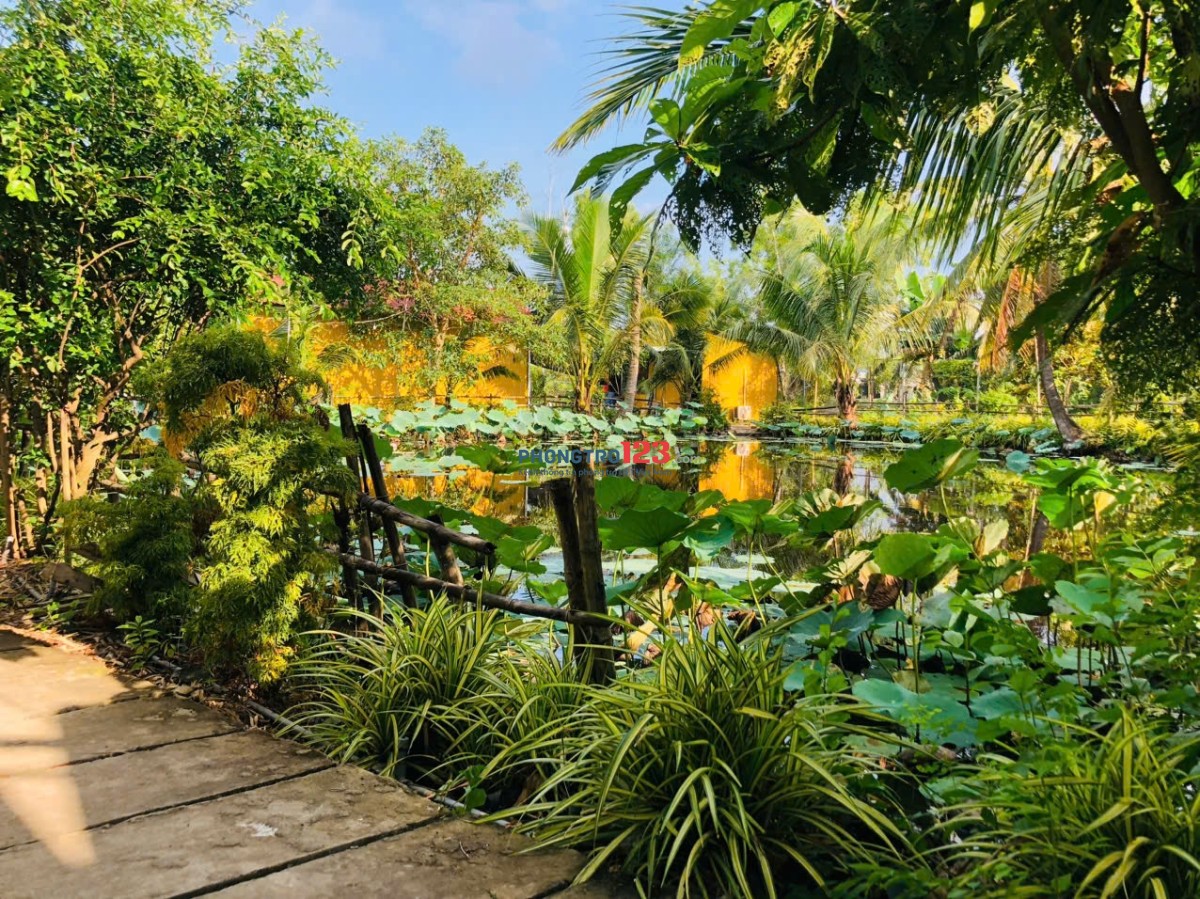Nhà trọ homestay view ao sen cực chill, có nội thất gần bxe bus Hưng Long