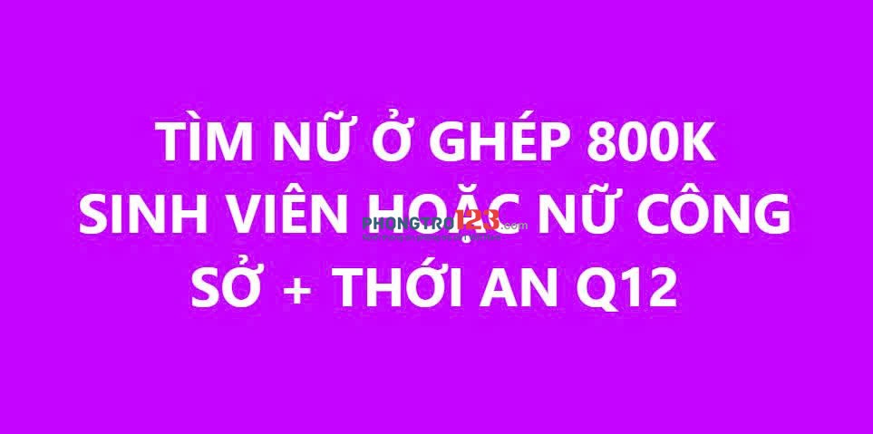 TÌM NỮ Ở GHÉP (CÔNG SỞ/SINH VIÊN) Q12, GV 800k cam kết không phát sinh.