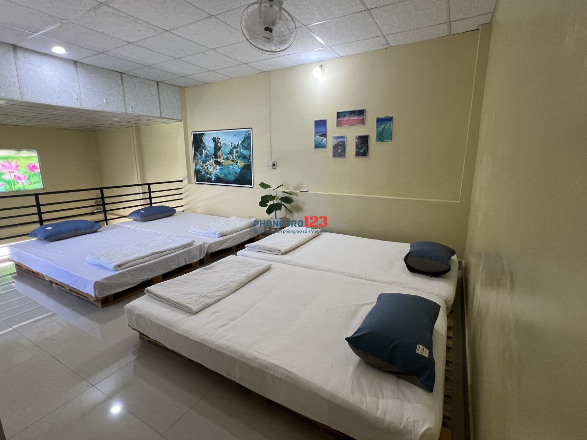 Cho thuê nhà nguyên căn 02 mặt tiền đẹp tại Nguyễn Tấn Định, Hàm Tiến, Phan Thiết, 6 triệu, 50m2