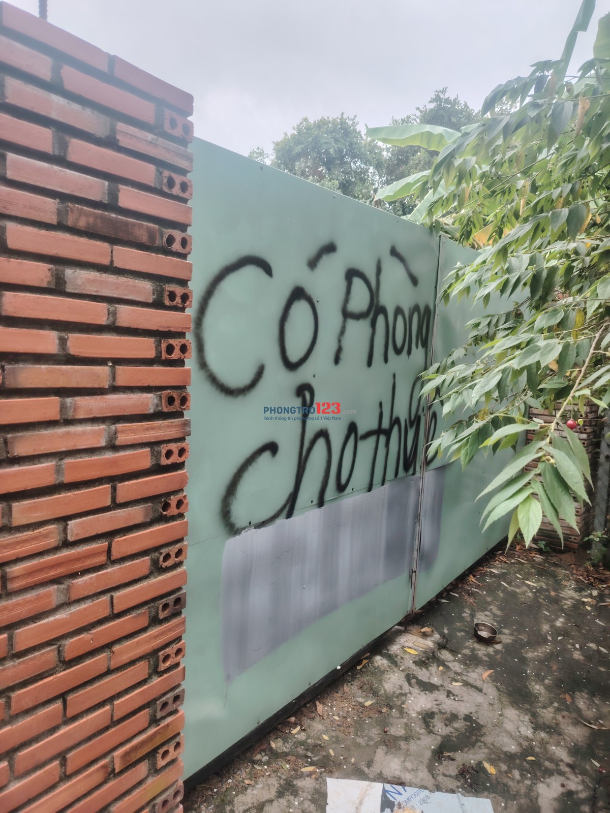 Cho thuê Phòng trọ giá rẻ nhất Quận 9 .