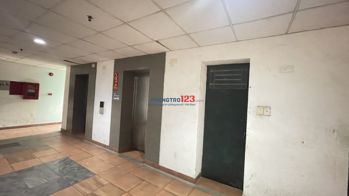 Căn hộ lầu 1 chung cư 312 Lạc Long Quân