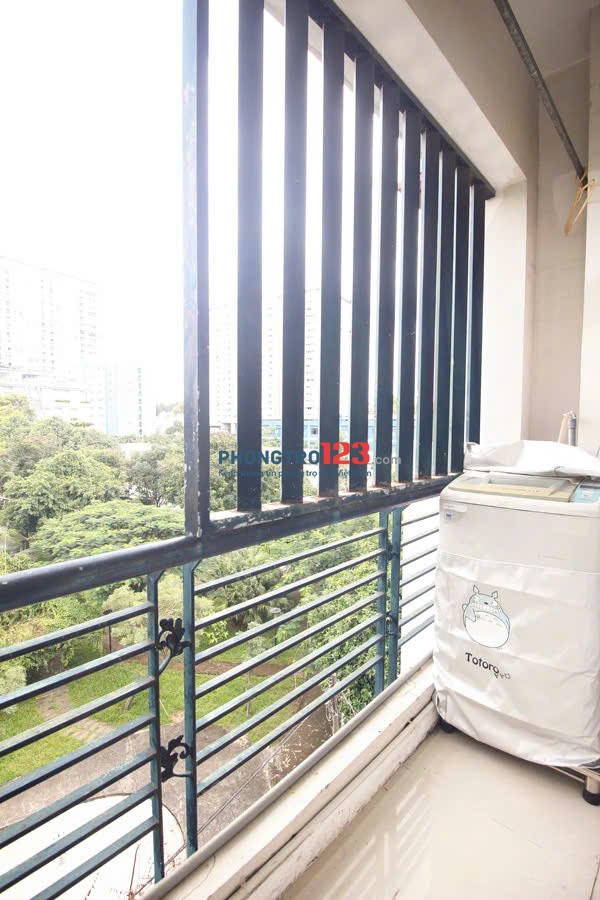 Cho thuê căn hộ studio 40m² gần Sân Bay, Quận Tân Bình