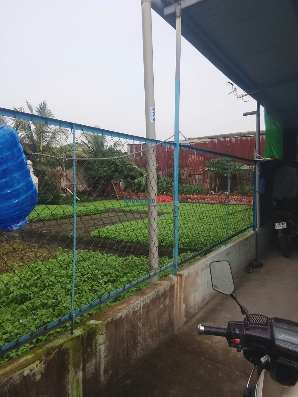 CHÍNH CHỦ CHO THUÊ PHÒNG TRỌ – P. THỚI AN, QUẬN 12 Địa chỉ: 19/1A Quốc lộ 1A, Phường Thới An,