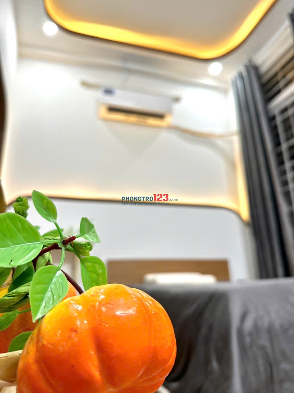 Căn hộ 1PN – Full Nội Thất – Bàu Cát, Tân Bình | Gần ĐH Văn Hiến – Học Viện Hàng Không.