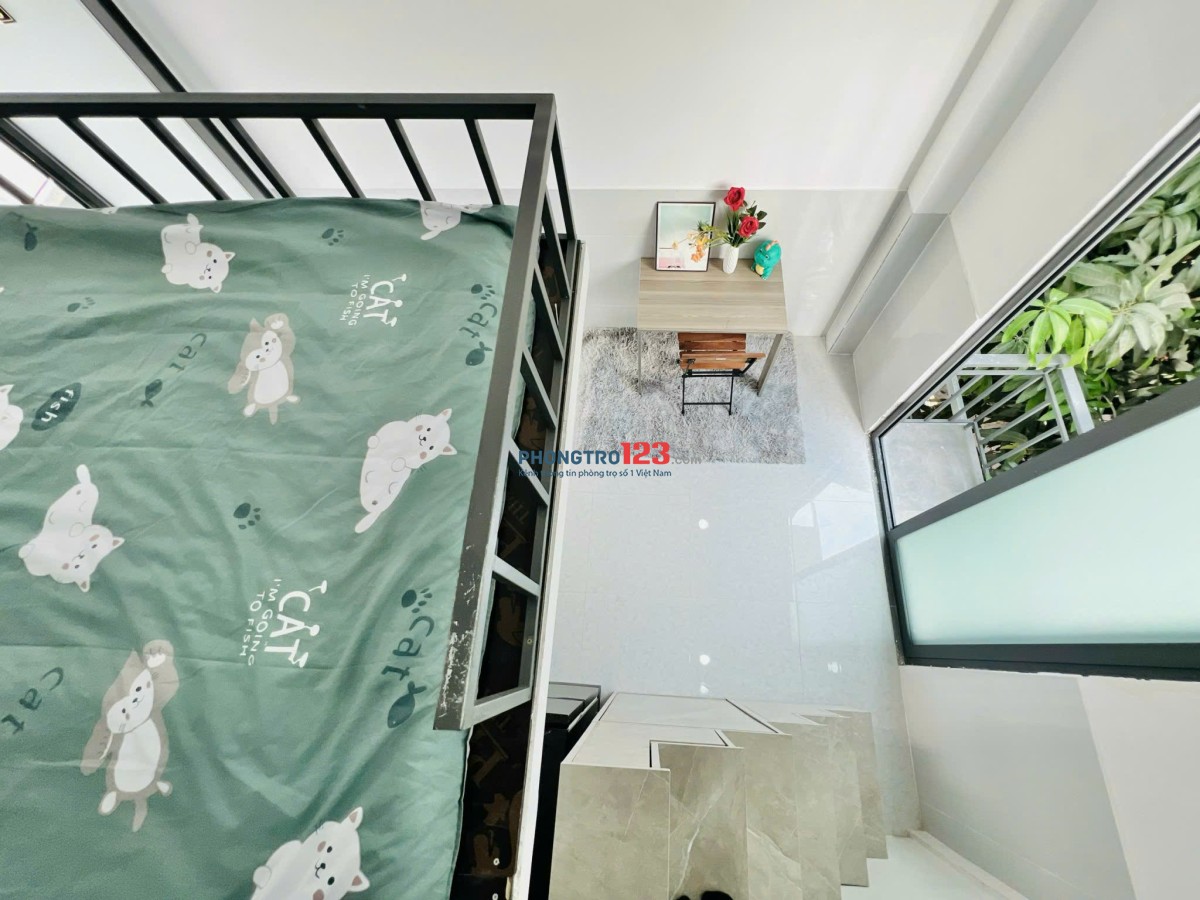  Phòng Duplex full nội thất – Trịnh Đình Thảo, Tân Phú