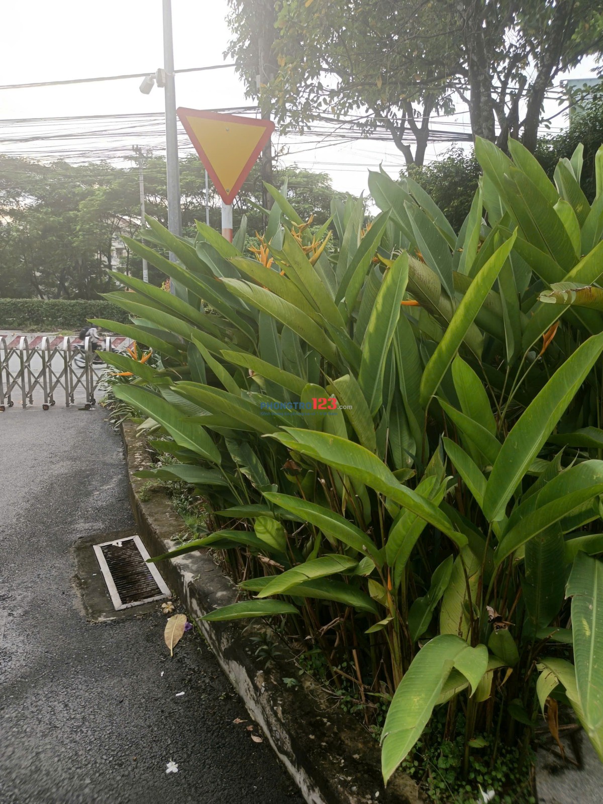 Tìm 1 hoặc 2 sv/nvvp ở ghép chung cư ngay ĐH Quốc Gia, ga Metro, 5p tới ngã 4 Thủ Đức (max: 3 ng )
