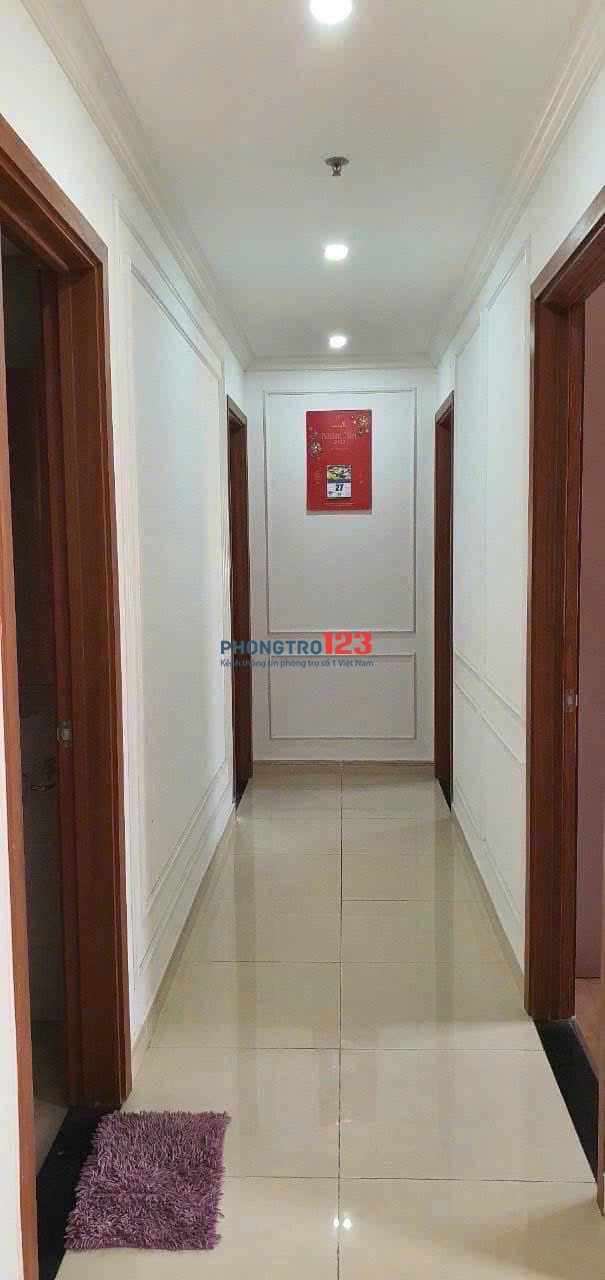 Ruby Garden, Nguyễn Sỹ Sách, P15, TB, 120m2, 3PN, 2WC, Nội thất, 11tr5/th.