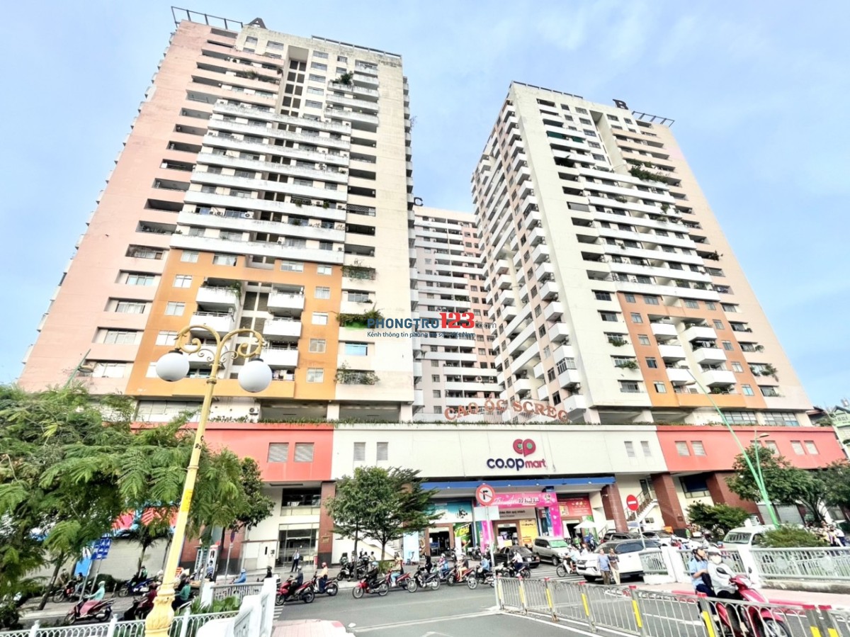 Tìm 1 nữ ở ghép 1:1 trong phòng chung cư Screc ngay coopmart Nhiêu Lộc2tr5/người/tháng đã gồm hếtCp