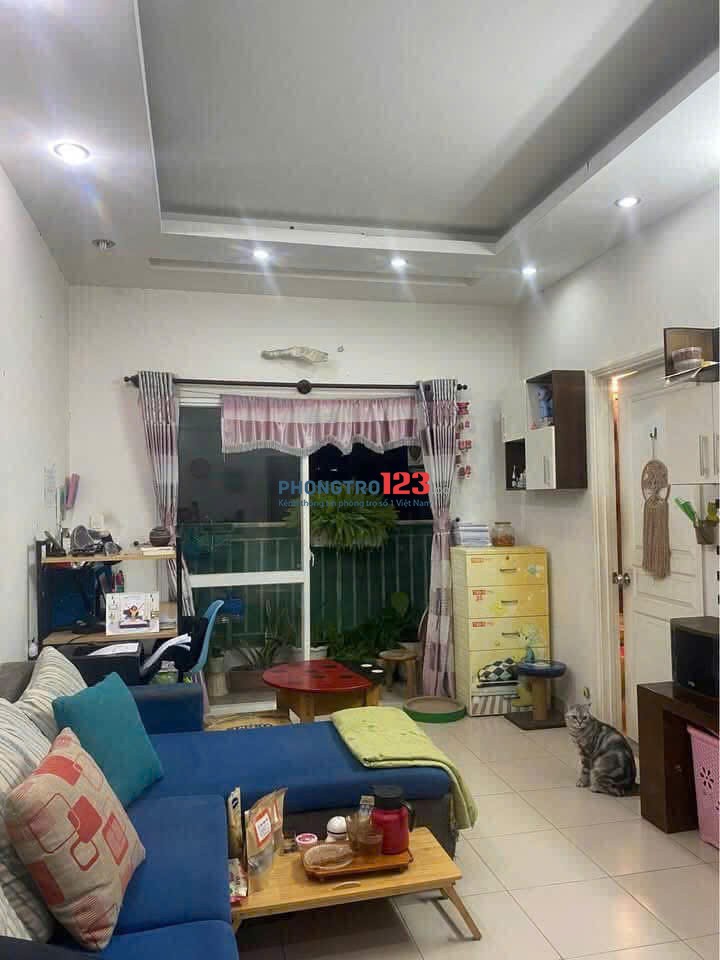 Căn hộ 80m2, 2p ngủ, 2wc,Full Nt, C/c Bàu Cát, p10, TB, 8tr/th.