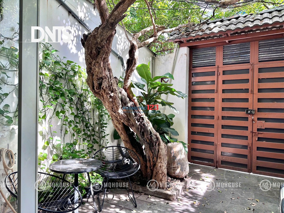 Cho thuê CHDV Full Nội Thất Hẻm XH Trần Quang Diệu, gần Trung Tâm 45m2 Giá 8.5tr