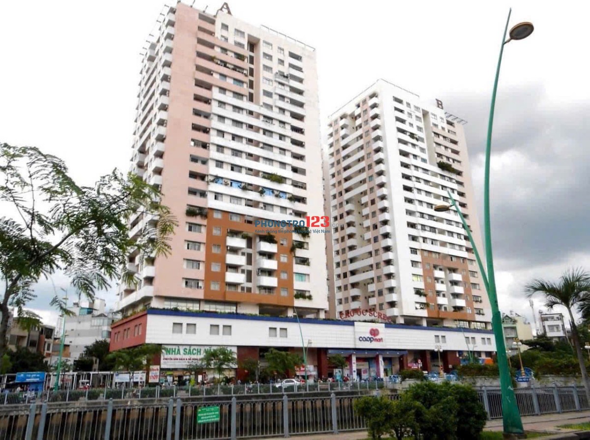 Cho thuê chung cư Screc, Trường Sa, Q3: 80m2, 2pn, 2wc, NT 13tr/tháng