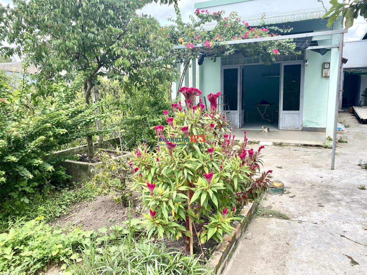 CHO THUÊ PHÒNG GẤP - ẤP 7, Đ.AN HẠ, PHẠM VĂN HAI (cũ)