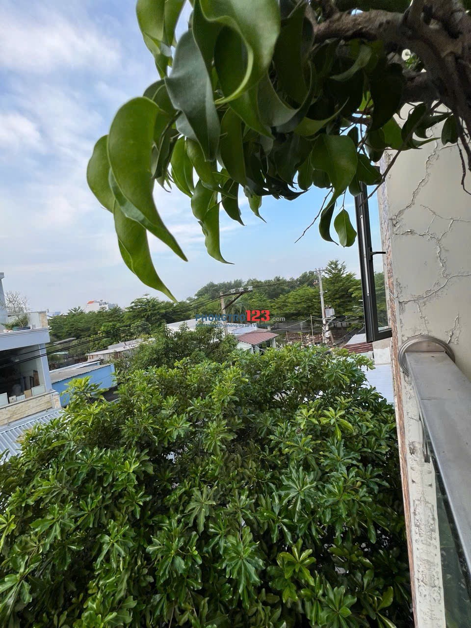 Cho thuê căn hộ dịch vụ Lê Văn Lương gần dự án CELESSTA hàn quốc giá 2 triệu