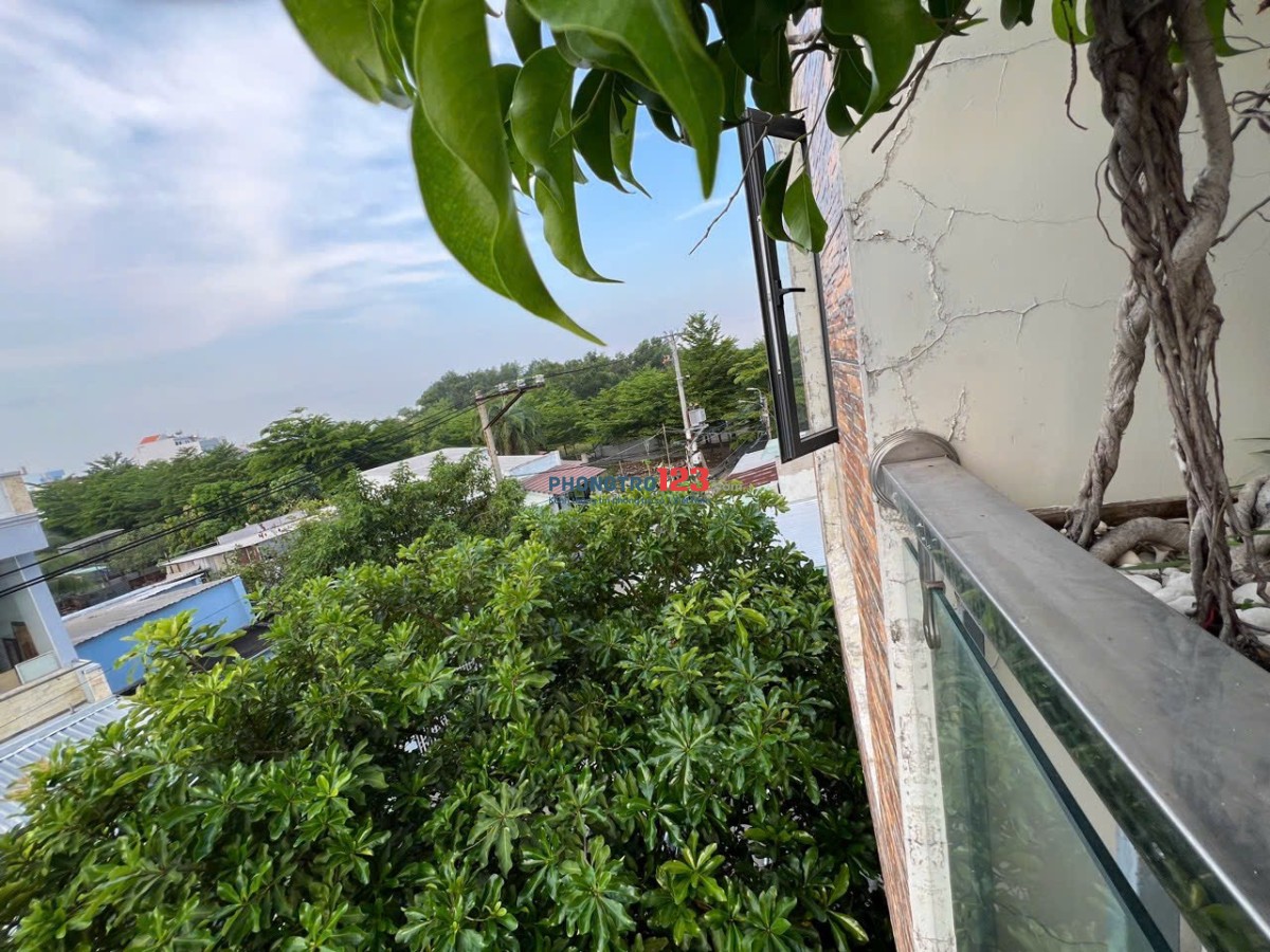 Cho thuê căn hộ dịch vụ Lê Văn Lương gần dự án CELESSTA hàn quốc giá 2 triệu