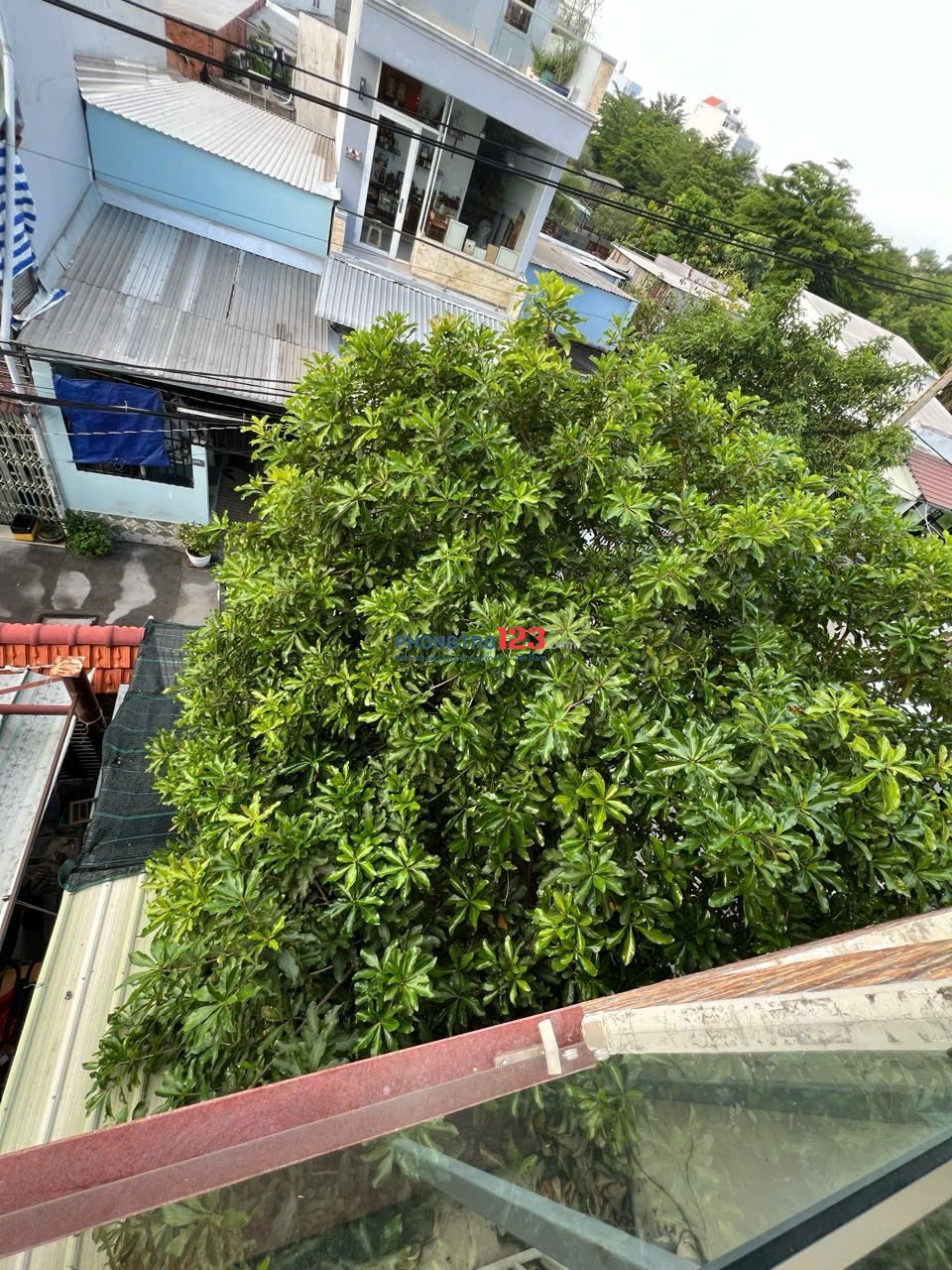 Cho thuê căn hộ dịch vụ Lê Văn Lương gần dự án CELESSTA hàn quốc giá 2 triệu